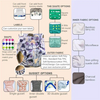 Lead Cloth Diaper Manufacturer For You